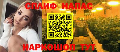 гашик Аргун