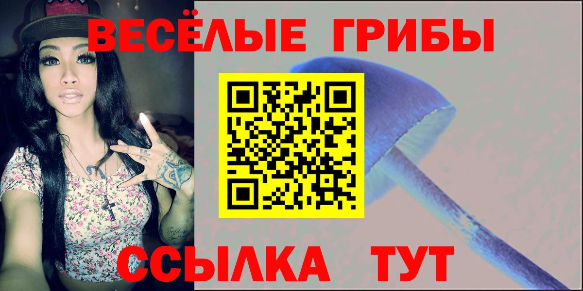 Галлюциногенные грибы мухоморы  Псилоцибиновые грибы ЛСД  Вход с VPN  где купить наркоту  Выкса 